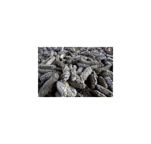Pepino de Mar Congelado al por Mayor de la Mejor Calidad, Venta a Granel, Grado Alimenticio Premium, Stock Disponible, Suministro para Exportación - Product Image 1