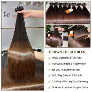 Extensiones de Cabello Humano Virgen Vietnamita Remy 100% Puro, Crudo y Sin Procesar, con Punta Marrón, Doble Trama, Liso, de Alta Calidad y en Tendencia - Product Image 5