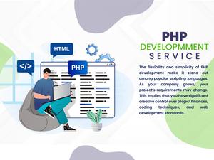 Ofreciendo servicios avanzados de desarrollador PHP para crear sitios web comerciales personalizados a precios asequibles - Product Image 3