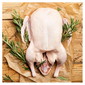 Pato Congelado con Certificación Halal en Venta, Carne de Pato de Alta Calidad para Exportación al por Mayor - Product Image 4