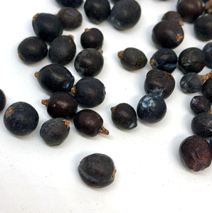 Suministro al por Mayor de Bayas de Junípero Secas Naturales de la Mejor Calidad para Marcas de Marca Privada, Nueva Temporada 2026, Orgánicas - Product Image 6