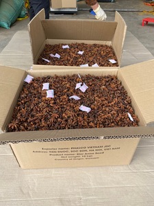 Anís estrellado de Phalco Vietnam Company, flor grande, buen sabor, precio de fábrica, mezcla de especias y hierbas secas, estilo procesado en seco. - Product Image 6