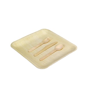 100% assiettes à dîner en feuille de palmier naturel plat carré biodégradable écologique pour les mariages en plein air fêtes cadeaux motif végétal - Product Image 6