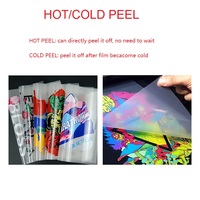 Film vinyle thermocollant de haute qualité, film PET DTF pour impression DTF personnalisée sur t-shirt/casquette/sac