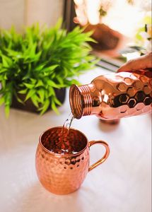 Hammered copper mug set garden pathway beverage <b>cups</b> <b>reusable</b> premium cocktail mugs durable serving - Product Image 5