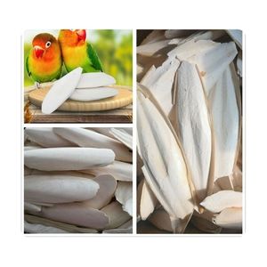 Hueso de Sepia de Calidad Premium, Seguro y con Alto Contenido de Calcio, Ideal para el Cuidado Mineral de la Caparazón de Tortuga y el Mantenimiento del Pico de Aves Domésticas - Product Image 1