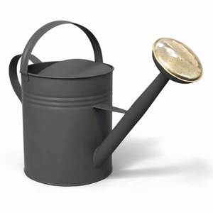 Regadera Metálica con Recubrimiento de Polvo Negro, Duradera, para Jardinería y Uso en Exteriores - Product Image 1