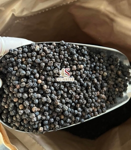 Poivre noir brut transformé en gros du Vietnam, épices uniques, style granulé séché, à prix compétitif, poivre noir Melina - Product Image 5
