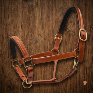 Licol pour cheval en cuir robuste et résistant, double épaisseur, rembourré, avec boucle de tête réglable et anneau, tailles personnalisées, commande en gros - Product Image 2