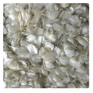 เกล็ดปลานิลแห้งผลิตคอลลาเจนเจลาติน - Product Image 2