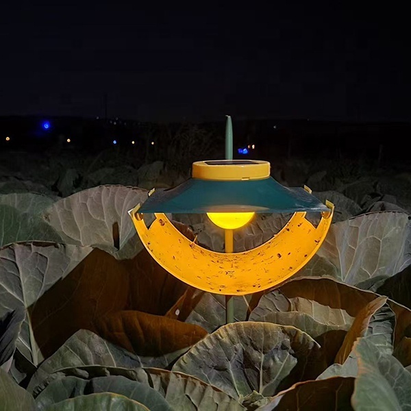 Tuta absoluta Pest Control Moth Trap