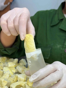 Sachets de durian lyophilisé en gros – Chips et morceaux de durian naturel de qualité supérieure du Vietnam - Product Image 1