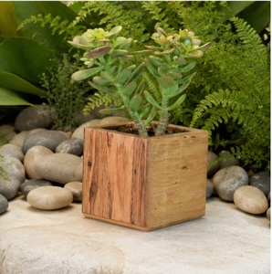 Maceta Cuadrada de Madera Hecha a Mano para Suculentas, Maceta Minimalista de Madera Sólida para Decoración de Escritorio y Oficina, Personalizable para Bodas - Product Image 6