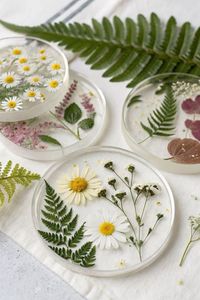 Sous-verre rond en verre au design antique avec fleurs et fougères pressées, 300 mm, design nordique, réutilisable, décoratif - Product Image 1