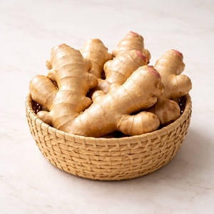 Raíz de Jengibre Cruda de Calidad Fresca, Cultivada Naturalmente, Aromática, con Sabor Intenso, Producto Seleccionado - Product Image 3