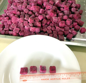Cubes de fruit du dragon surgelés IQF en vrac, fruits tropicaux de qualité supérieure - Conservation à -18°C, durée de conservation de 24 mois, emballage sous vide 1 kg - Product Image 6
