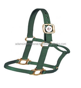 Licou de cheval en PVC de qualité supérieure avec couleur noire, équipement pour cheval, fabricant de grossiste International - Product Image 3