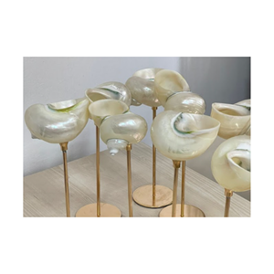 Vaso de Concha Natural Hecho a Mano, Precio Competitivo, Envío Rápido, Vajilla Costera, Artesanía de Conchas Marinas, Exportador de Vietnam - Product Image 1