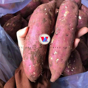 PATATAS DULCES CONGELADAS AL POR MAYOR DIRECTAMENTE DE LA FÁBRICA, PATATAS DULCES CONGELADAS NATURALMENTE, NUEVA COSECHA. - Product Image 6