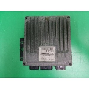 Carnival a utilisé des ECU et des modules informatiques 391014X820 - Product Image 2