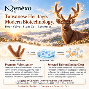 2026 Renxo Exosomes <b>Scalp</b> Reboot Professional Antler Serum Hair-Loss Prevention Normal Hair Repair Kit 8ml - Product Image 6