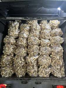 ข่าแช่แข็งทั้งหัว (Alpinia officinarum) ข่าขี้ม้าแช่แข็ง บรรจุภัณฑ์แบบกำหนดเอง 200 กรัม 500 กรัม ฉลากส่วนตัว - Product Image 5