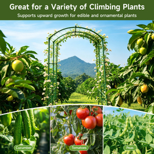 USA Warehouse Arched Garden Trellis Metal Climbing Support <b>Frame</b> for Grapes Cucumbers Beans Peas Squash Outdoor Raised Bed - Product Image 5