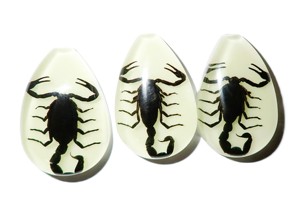 Black Scorpion Real Specimen Plastic Cabochon Pear Cut <b>Top</b> 46x30 mm Glow Flat Bottom for Crafts and Jewelry Making - Product Image 4