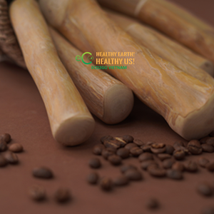 ECO2GO VIETNAM Juguete Masticable de Madera de Café Orgánico para Perros, Sin Calorías, para el Cuidado Dental y el Alivio del Aburrimiento - Product Image 4