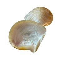 Plateau en nacre dorée, fait main, écologique, en coquillage naturel, pour servir des desserts, du thé, taille 9-11 cm, diverses couleurs