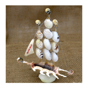 Figura de barco de concha marina hecha a mano, regalos y recuerdos de conchas marinas naturales del océano de Vietnam - Product Image 5