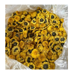Fleurs de Camomille Séchées Naturelles du Vietnam – Ingrédient en Gros pour Fabricants de Thés et Boissons Industrielles - Product Image 3