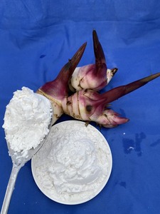 Poudre d'amidon d'arrowroot biologique la plus vendue, goût naturel pour l'alimentation et les ingrédients, emballée en sachet, provenant du Vietnam - Product Image 6