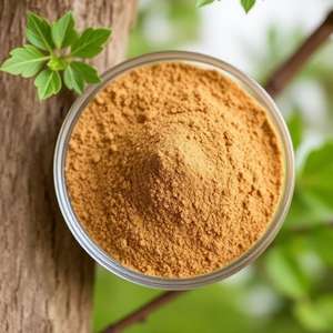 Extracto de corteza de roble blanco natural 100%, extracto de hierbas a granel - Product Image 1