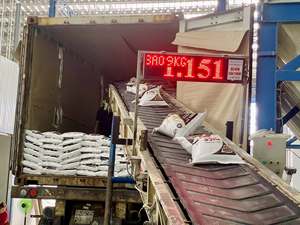 ข้าวหอมมะลิเวียดนามพรีเมียม SUNRICE เมล็ดยาว กลิ่นหอม ปี 2025 เนื้อเหนียว ข้าวแห้ง ฮอมมาลี +84 966 659 976 - Product Image 3