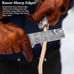 Couteau de chasse Damas OEM fait main pas cher, lame fixe de 8 pouces, manche en bois, lame pleine longueur, qualité industrielle, couteau de cowboy - Product Image 5