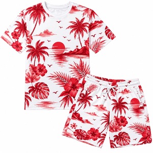 Ensemble T-shirt et short imprimés pour hommes, mode décontractée d'été, vêtements de sport, logo personnalisé, qualité supérieure, fabricant en gros - Product Image 5