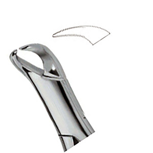 Pinza Extractora Dental de Acero Inoxidable con Empuñadura Moleteada, Instrumento Quirúrgico Clase I, Certificado CE, Color Plateado - Product Image 3