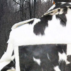 Chaqueta de Moto con Estampado de Vaca, Piel Sintética, Corta, Abrigo Cálido de Invierno, Cuello Camisero, Manga Larga, Cierre de un Solo Botón, Largo Regular - Product Image 2