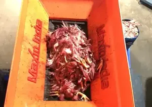 Machine de traitement des déchets de volaille à double arbre de qualité export, capacité 1000-1500 kg/h, machine industrielle de broyage et de recyclage des déchets avicoles - Product Image 3