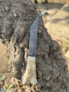 Viking Seax <b>Knife</b> Wood <b>Handle</b> Damascus Steel Blade DIY OEM Customizable Outdoor Camping Collectible Clip Point Hunting <b>Knife</b> - Product Image 3