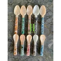 Cuillère en coquillage du désert écologique avec bougie sculptée à la main, cuillère en coquillage du Vietnam, grossiste