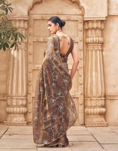 Sari Pre-Drapeado Dorado con Adornos de Lámina KV y Blusa Sin Coser - Product Image 6