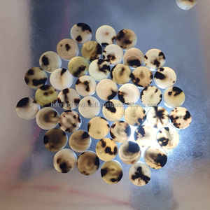 Botón de Cuerno de Búfalo Ecológico con Cuentas, Color Negro Natural, para Prendas de Vestir, Precio Económico, de Fabricante Indio - Product Image 3