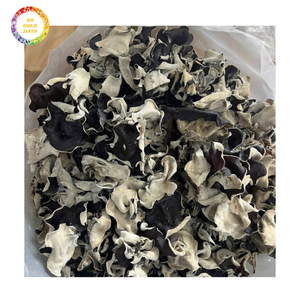 Ingrediente a Granel para Hongos de la Oído con Procesamiento Confiable y Precio Competitivo - Product Image 1