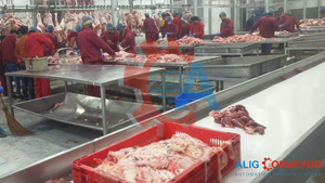 Cinta Transportadora ALIG, Transportador Aéreo para Plantas de Procesamiento de Carne de Oveja, Mataderos, Carnicerías - Product Image 1