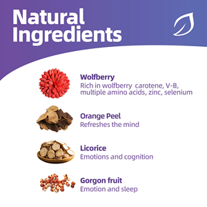 OEM ODM Listo para Enviar: Bolsitas de Té para el Bienestar Cognitivo – Mezcla Natural de Ginseng, Dendrobium y Poria, Favorece la Claridad Mental, 10 Bolsitas - Product Image 5