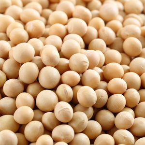 100% <b>Soybeans</b> 50kg PP Bag Unprocessed Pure Oil Extraction Bulk Farming Cooperative 12 Months Shelf Life Food Cheap price - Product Image 1