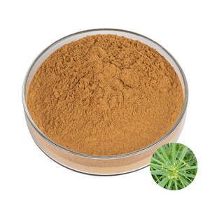 Polvo de Cissus Quadrangularis 100% Puro, Polvo Herbal Natural de Cissus Quadrangularis que Ayuda a Mejorar la Comodidad y Flexibilidad de las Articulaciones - Product Image 1