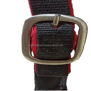 Best Quality - Nylon Horse <b>Halter</b> - Excellent Vibrant & Bright Color - Brass Plated Stainless Steel Hardware - Customized Sizes - Product Image 1